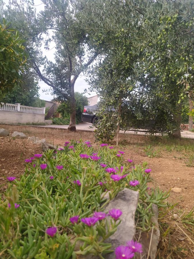 Apartmani Trubi 3 Vodice Exterior foto